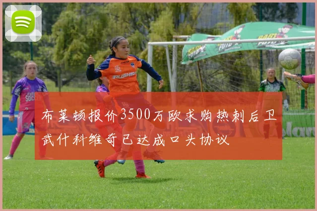 布莱顿报价3500万欧求购热刺后卫武什科维奇已达成口头协议