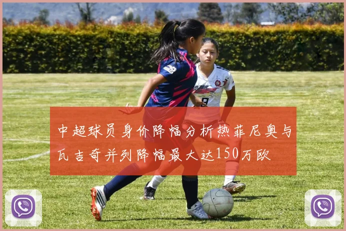 中超球员身价降幅分析热菲尼奥与瓦吉奇并列降幅最大达150万欧